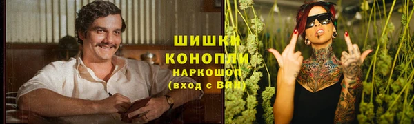 прущие крисы Елизово