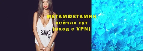 прущие грибы Заволжье