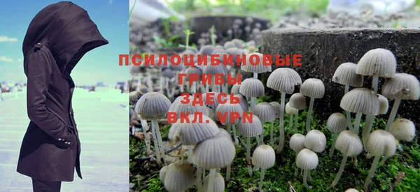 прущие крисы Елизово