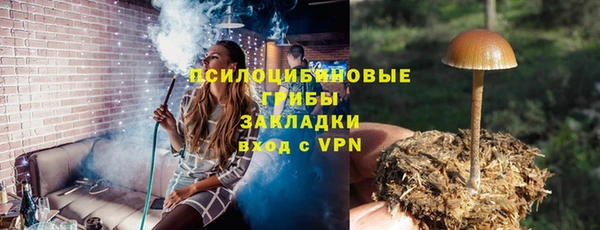 соль курить ск Ельня