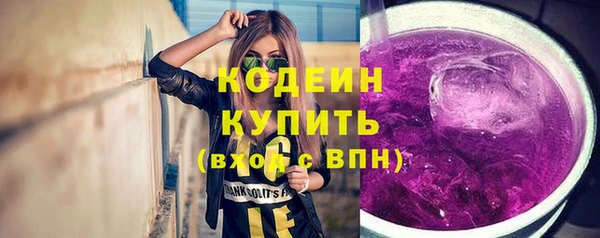 прущие грибы Заволжье