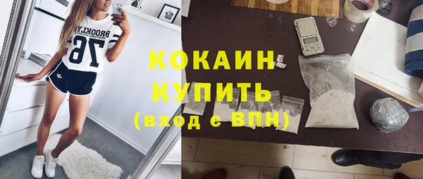 прущие грибы Заволжье