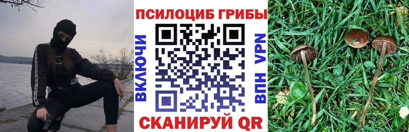 Купить закладки  Долинск  Псилоцибиновые грибы Magic Shrooms 